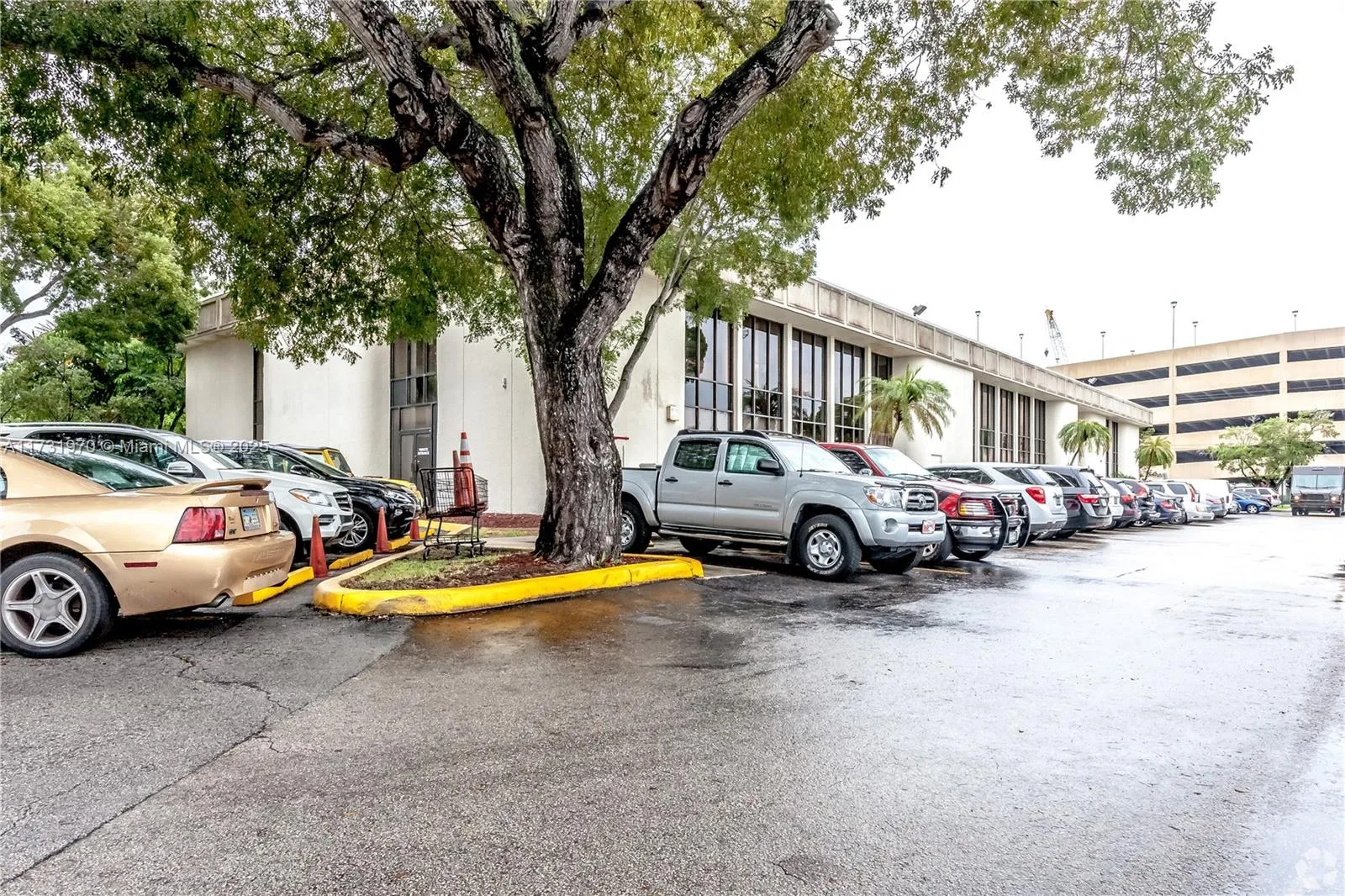 Miami, Florida 33176, ,Commercial Lease,For Rent,A11731970