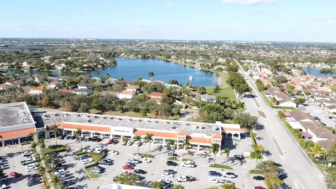 Aerial view of the neighborhood near the Plaza