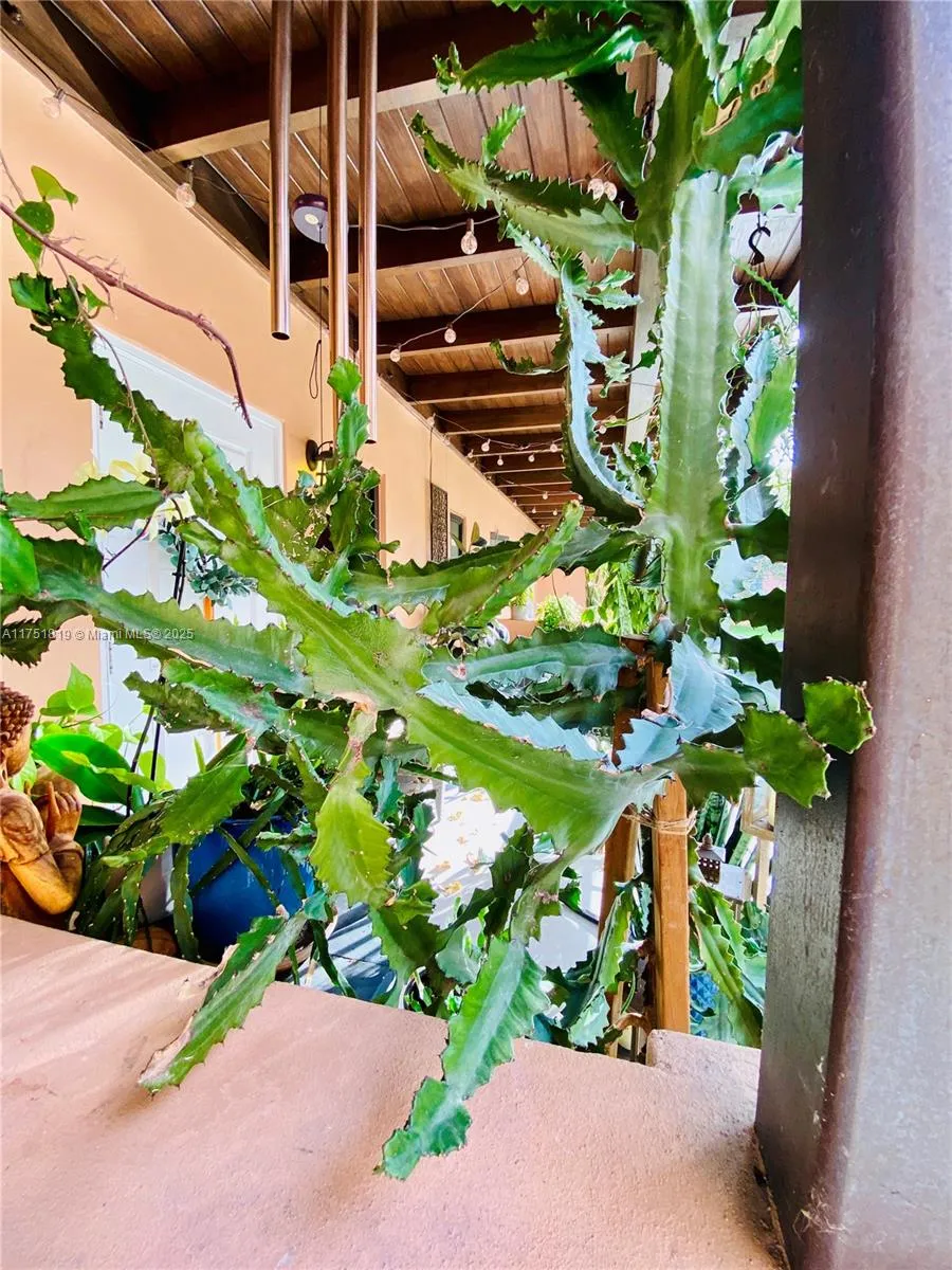 200 Azure Way, Miami Springs, Florida 33166, Miami Springs, Florida 33166, ,Residential Income,For Sale,200 Azure Way, Miami Springs, Florida 33166,A11751819