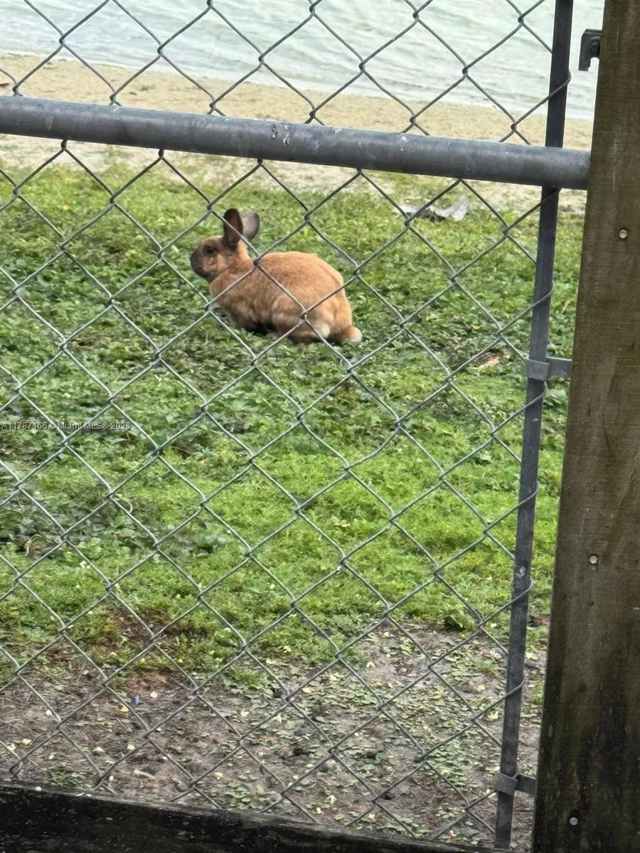 12355 Nw 7th Ln, Miami, Florida 33182, Miami, Florida 33182, 3 Bedrooms Bedrooms, ,2 BathroomsBathrooms,Residential,For Sale,12355 Nw 7th Ln, Miami, Florida 33182,A11787166