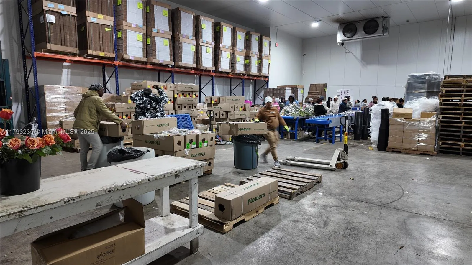 Doral, Florida 33172, ,Commercial Lease,For Rent,A11793235