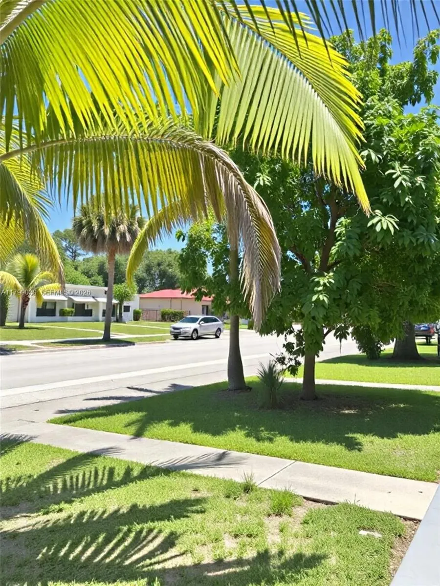 Front Yard