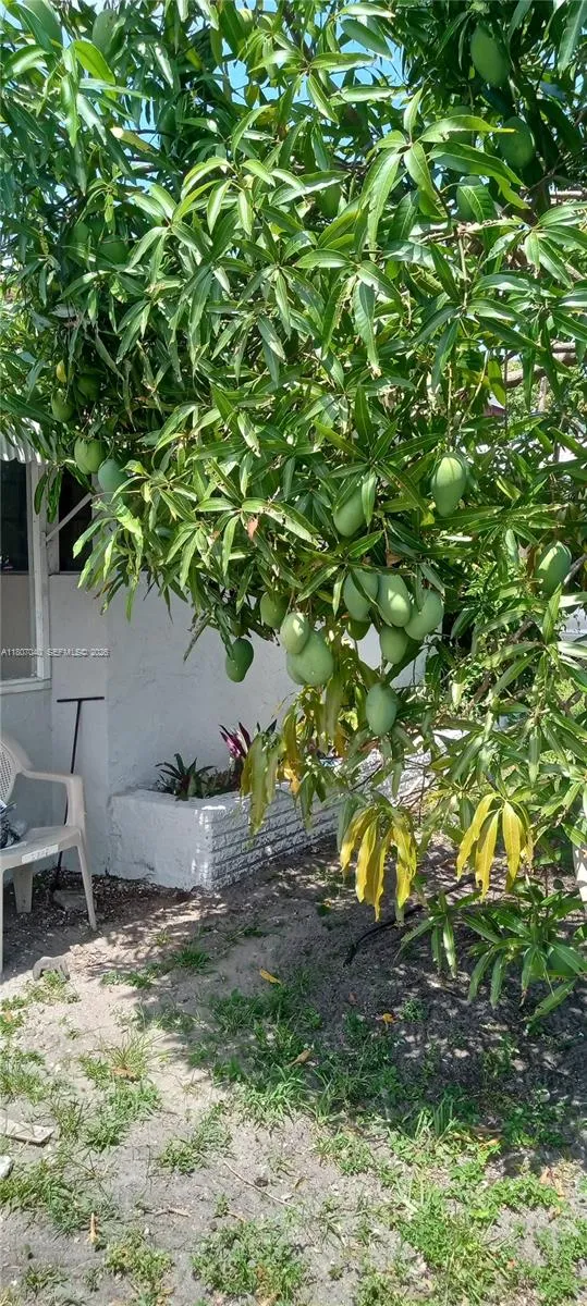 3161 Nw 5th St, Lauderhill, Florida 33311, Lauderhill, Florida 33311, 3 Bedrooms Bedrooms, 1 Room Rooms,3 BathroomsBathrooms,Residential,For Sale,3161 Nw 5th St, Lauderhill, Florida 33311,A11807040