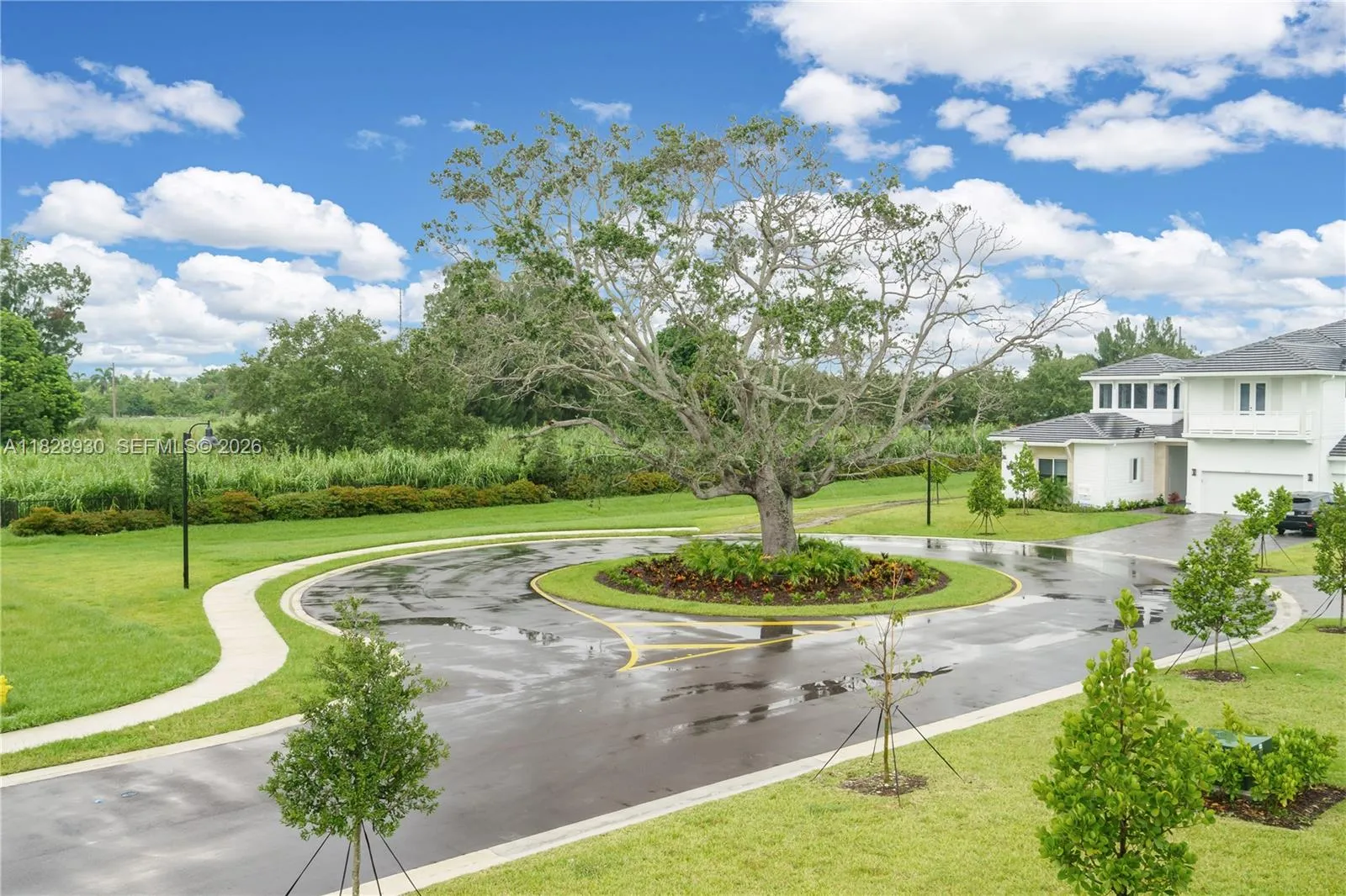 2210 Sw 122nd Ter, Davie, Florida 33325, Davie, Florida 33325, 6 Bedrooms Bedrooms, ,5 BathroomsBathrooms,Residential,For Sale,2210 Sw 122nd Ter, Davie, Florida 33325,A11828930
