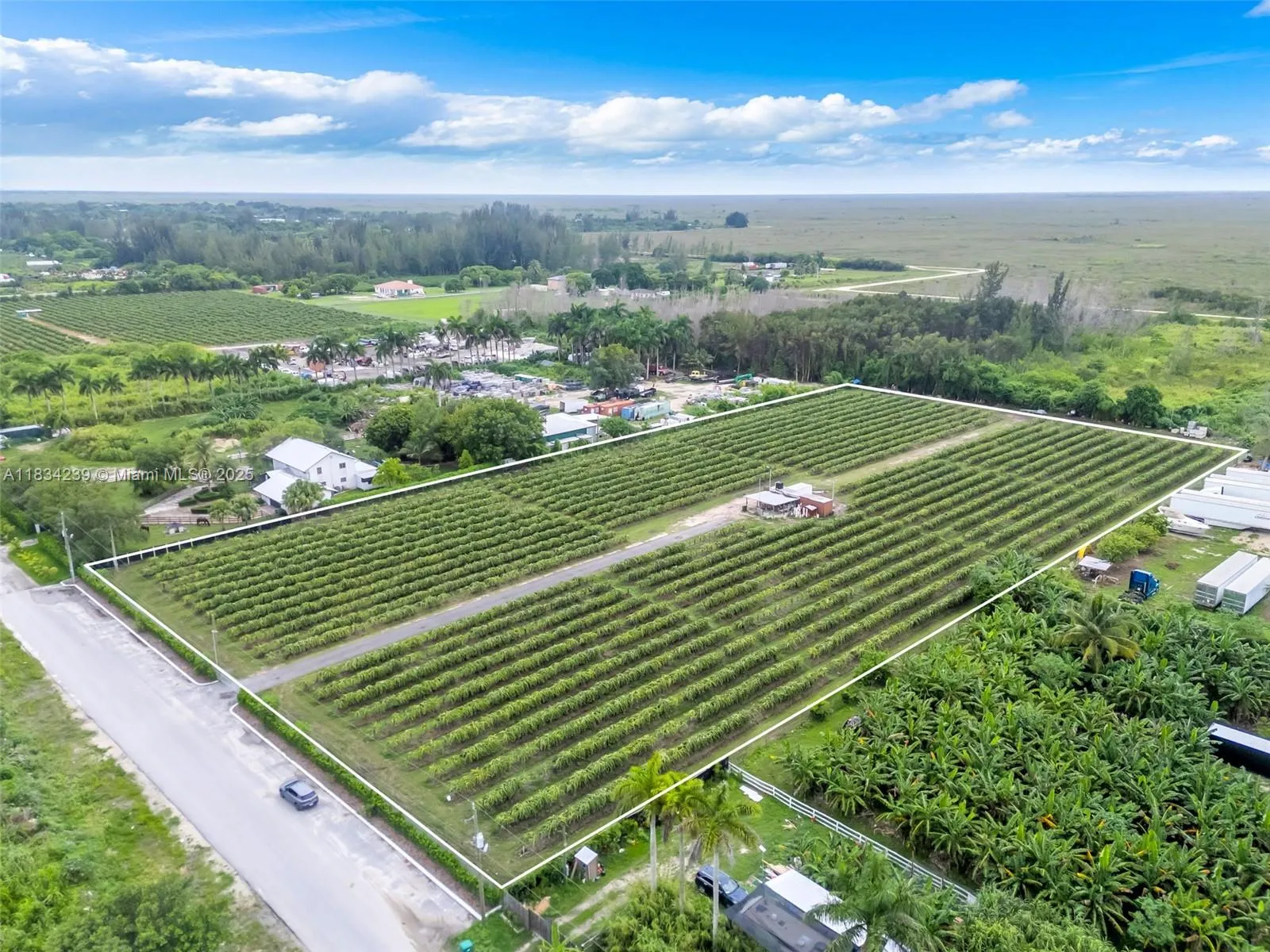 00 Sw 205th Ave, Miami, Florida 33196, Miami, Florida 33196, ,Land,For Sale,00 Sw 205th Ave, Miami, Florida 33196,A11834239