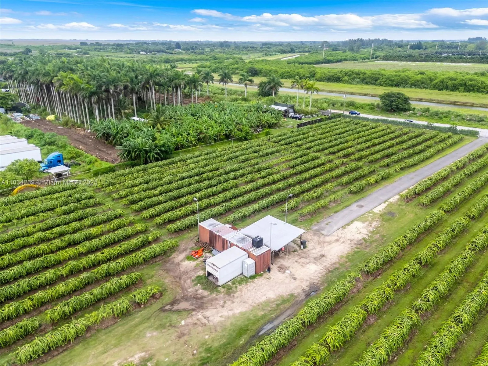 00 Sw 205th Ave, Miami, Florida 33196, Miami, Florida 33196, ,Land,For Sale,00 Sw 205th Ave, Miami, Florida 33196,A11834239