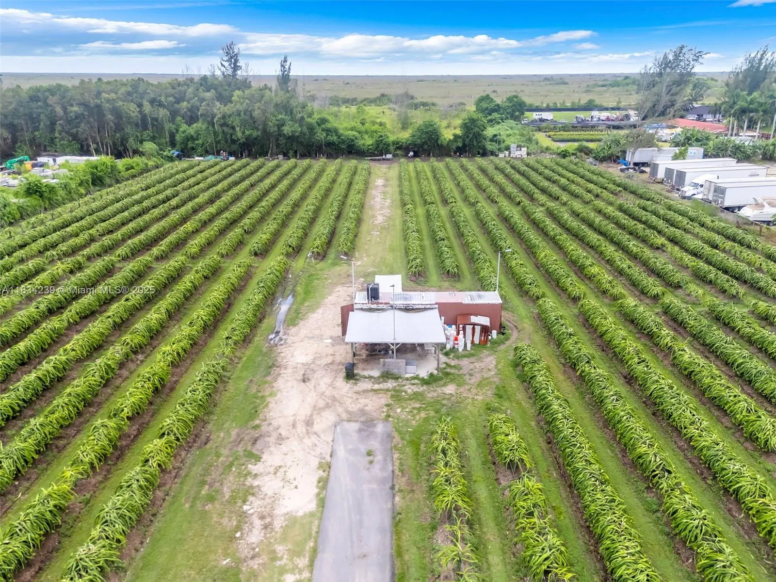 00 Sw 205th Ave, Miami, Florida 33196, Miami, Florida 33196, ,Land,For Sale,00 Sw 205th Ave, Miami, Florida 33196,A11834239