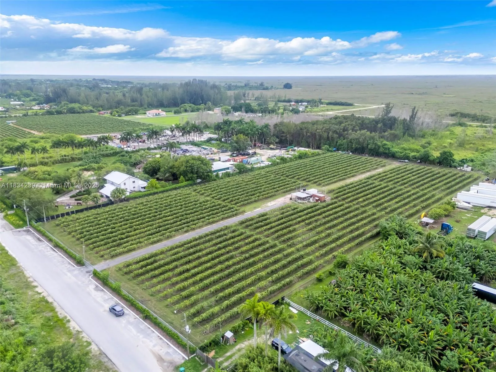 00 Sw 205th Ave, Miami, Florida 33196, Miami, Florida 33196, ,Land,For Sale,00 Sw 205th Ave, Miami, Florida 33196,A11834239