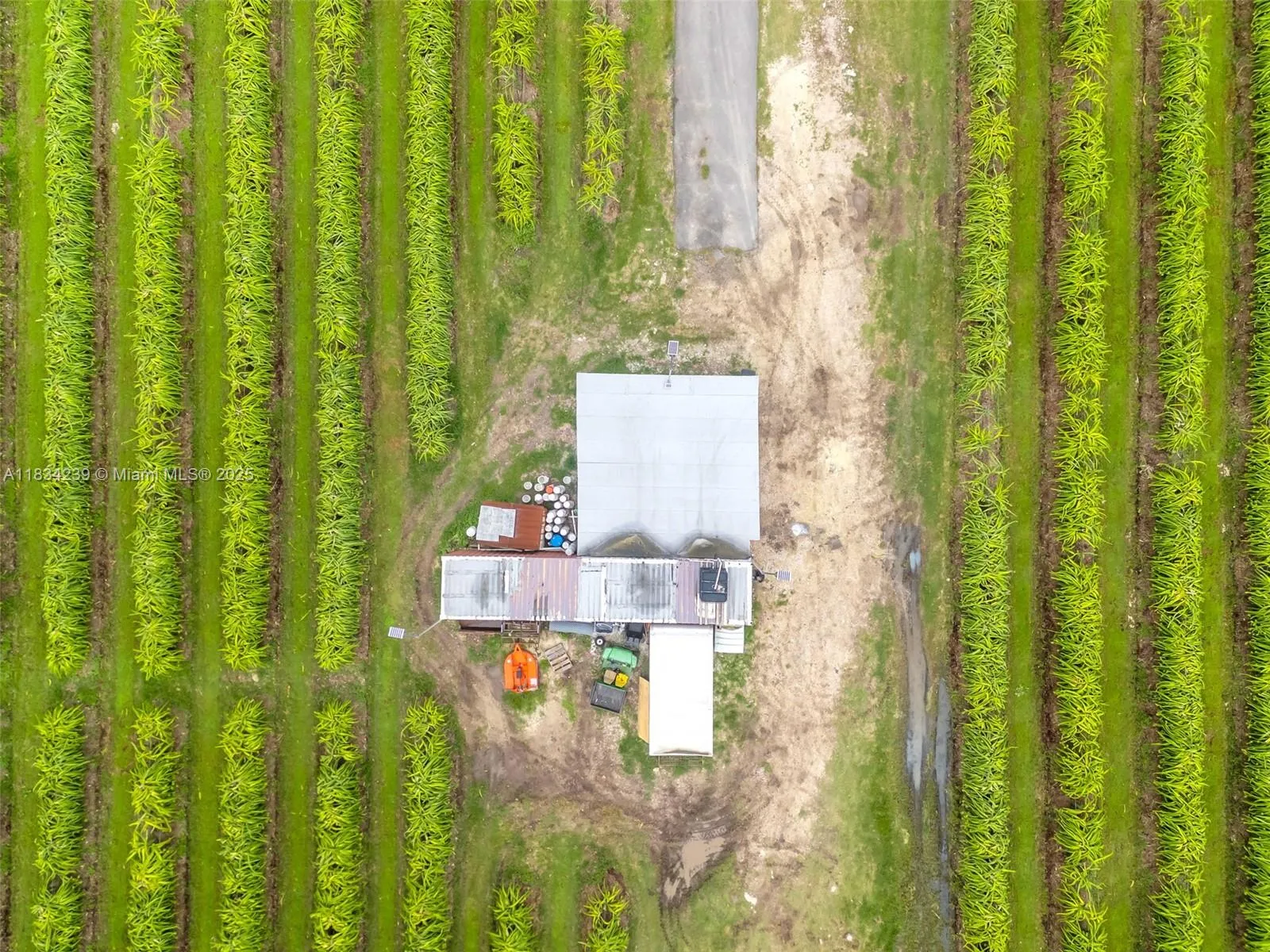 00 Sw 205th Ave, Miami, Florida 33196, Miami, Florida 33196, ,Land,For Sale,00 Sw 205th Ave, Miami, Florida 33196,A11834239