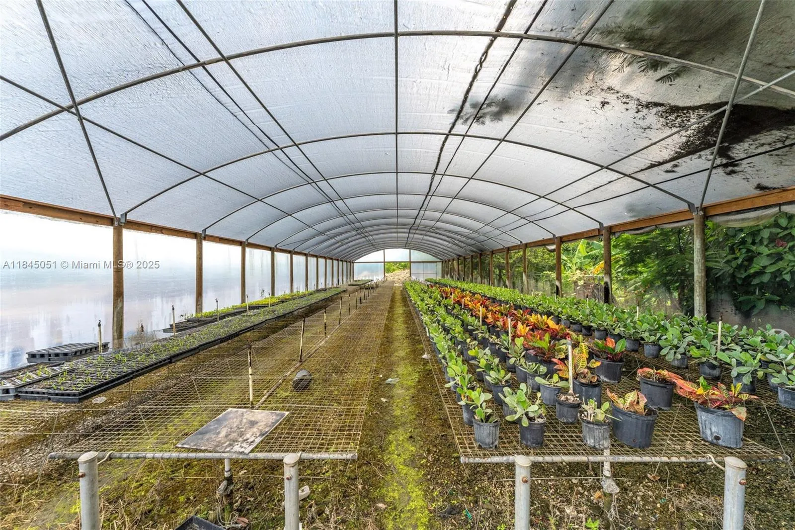 MIST HOUSE W/ BENCHES