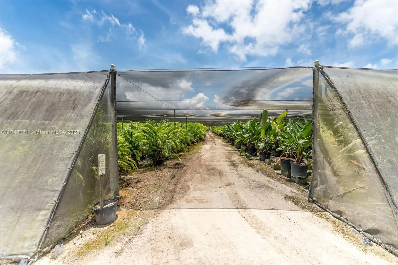 SHADE CLOTH AREA\'S W/ IRRIGATION.