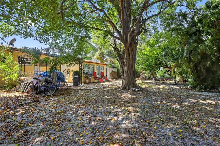 Yard