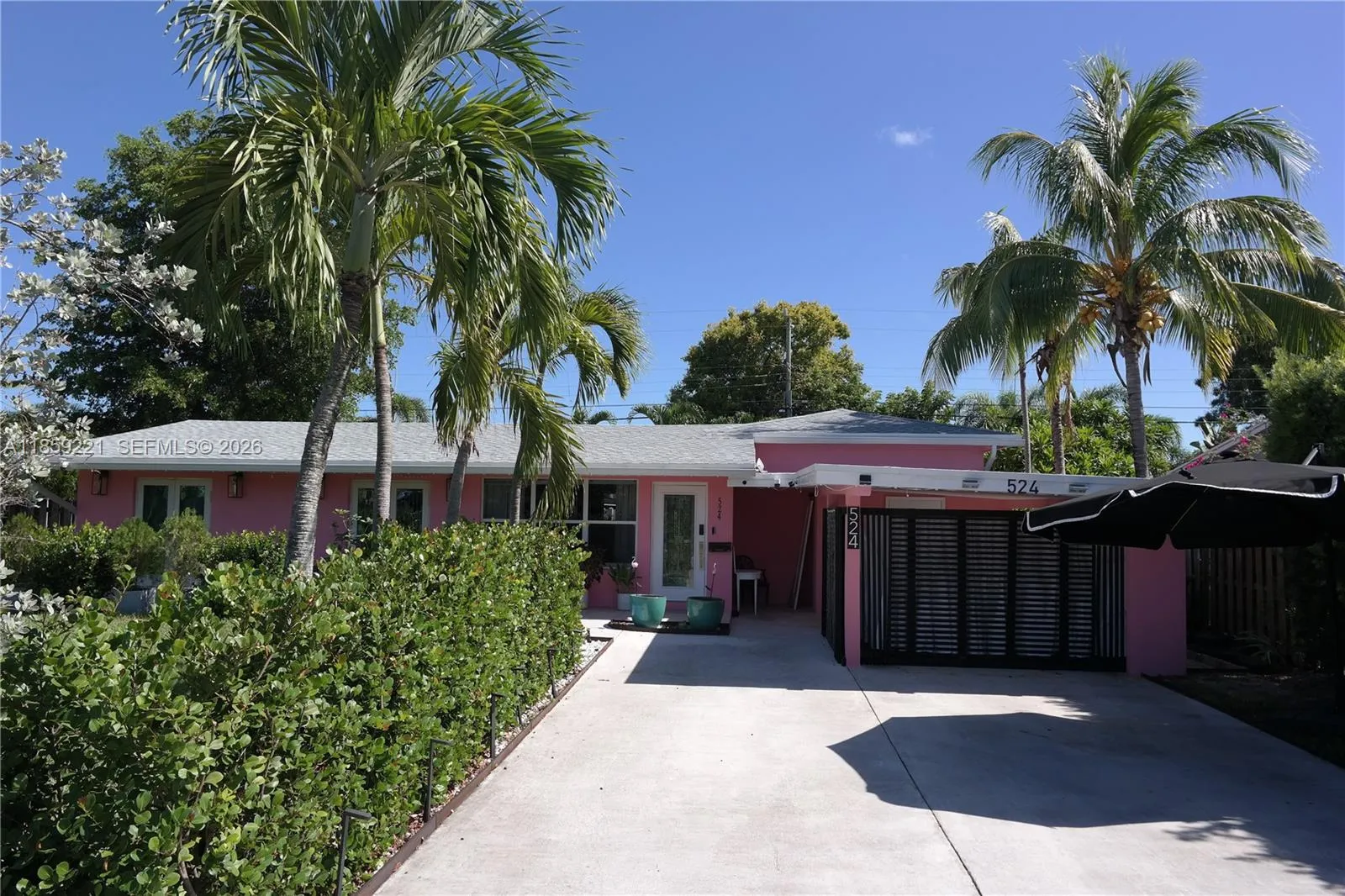 New 2023 roof, all high impact windows and doors, and a spacious spotless front driveway, surrounded by tall, graceful palms and green walls.