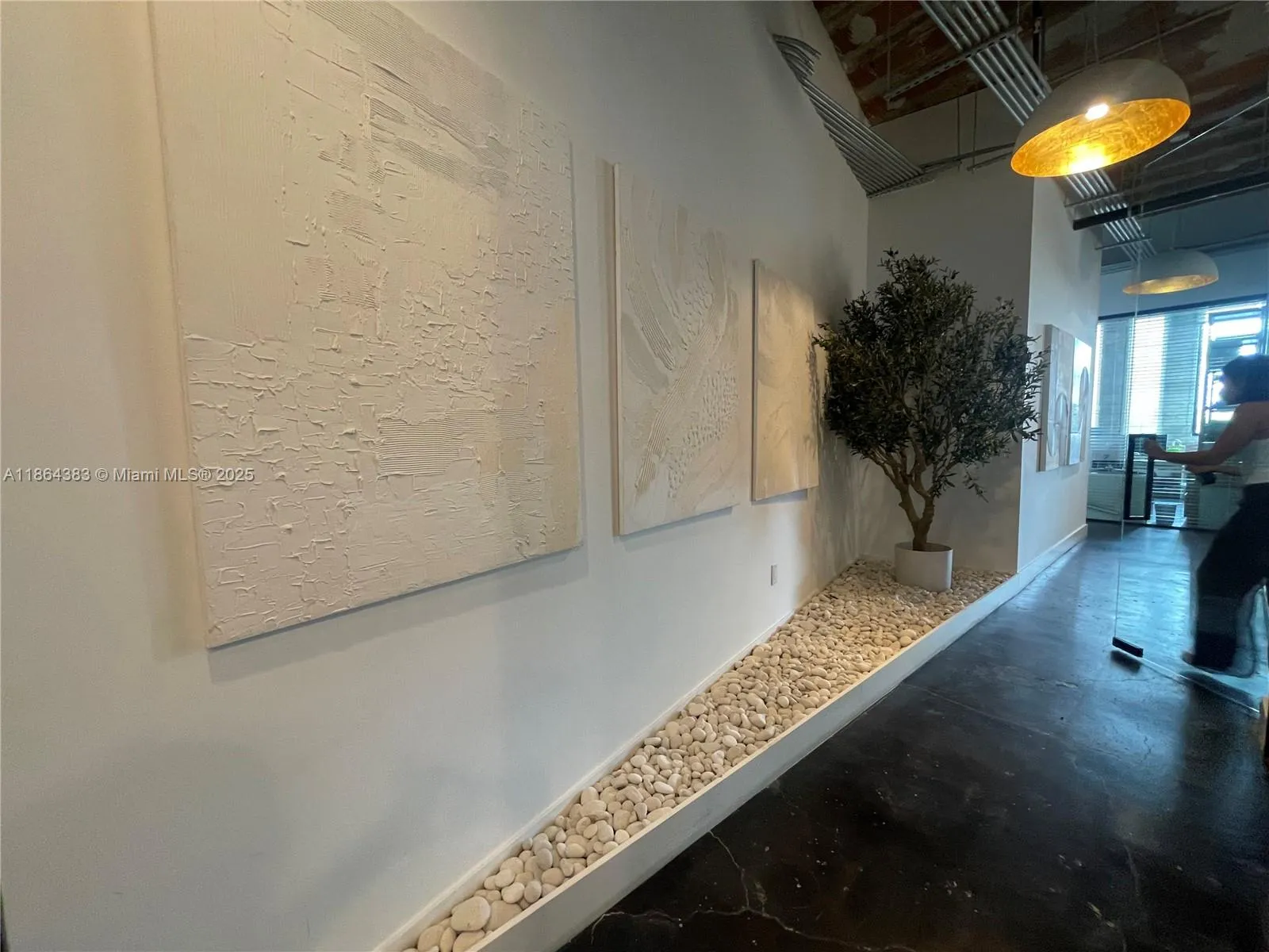1900 Ne Miami Ct, Miami, Florida 33132, Miami, Florida 33132, ,Commercial Lease,For Rent,1900 Ne Miami Ct, Miami, Florida 33132,A11864383