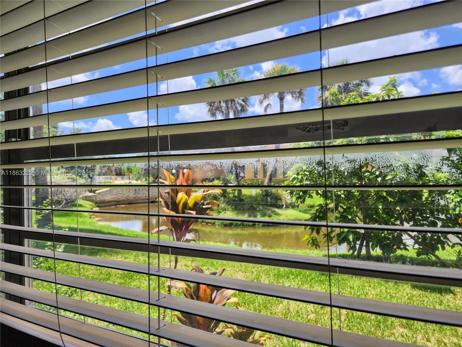 View from Primary Bedroom