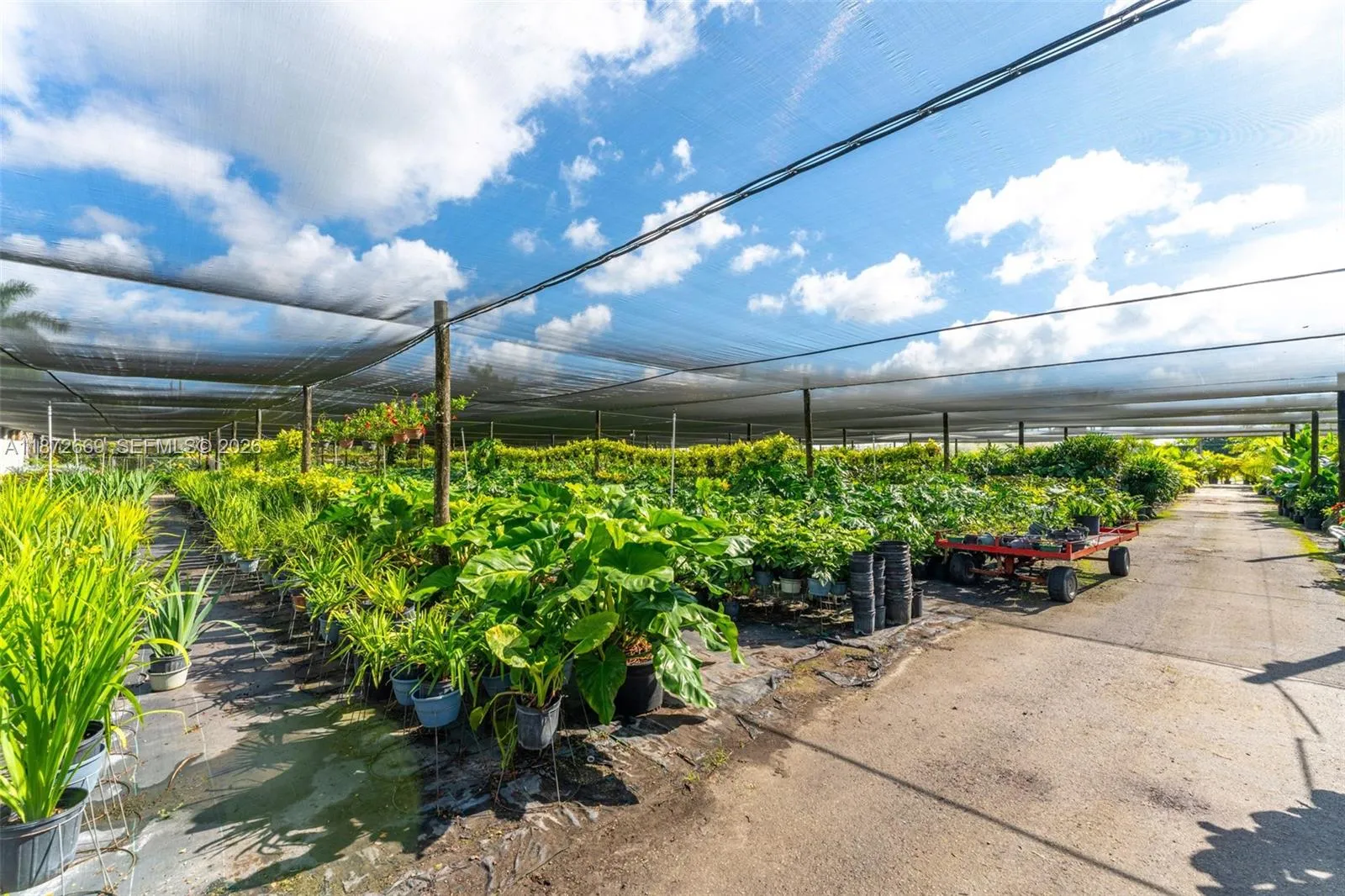 20425 Sw 177th Av, Miami, Florida 33187, Miami, Florida 33187, ,Land,For Sale,20425 Sw 177th Av, Miami, Florida 33187,A11872669
