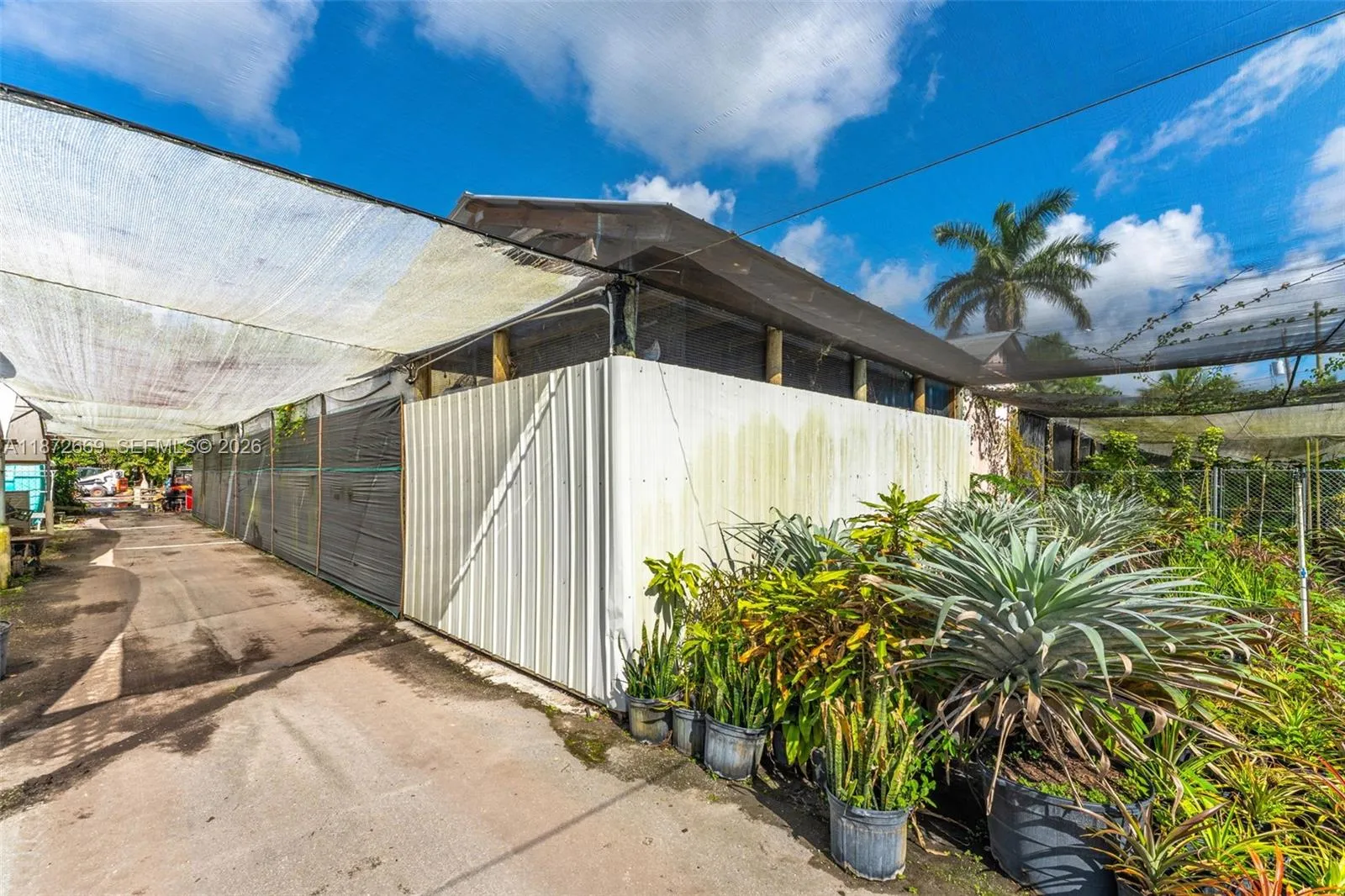 20425 Sw 177th Av, Miami, Florida 33187, Miami, Florida 33187, ,Land,For Sale,20425 Sw 177th Av, Miami, Florida 33187,A11872669