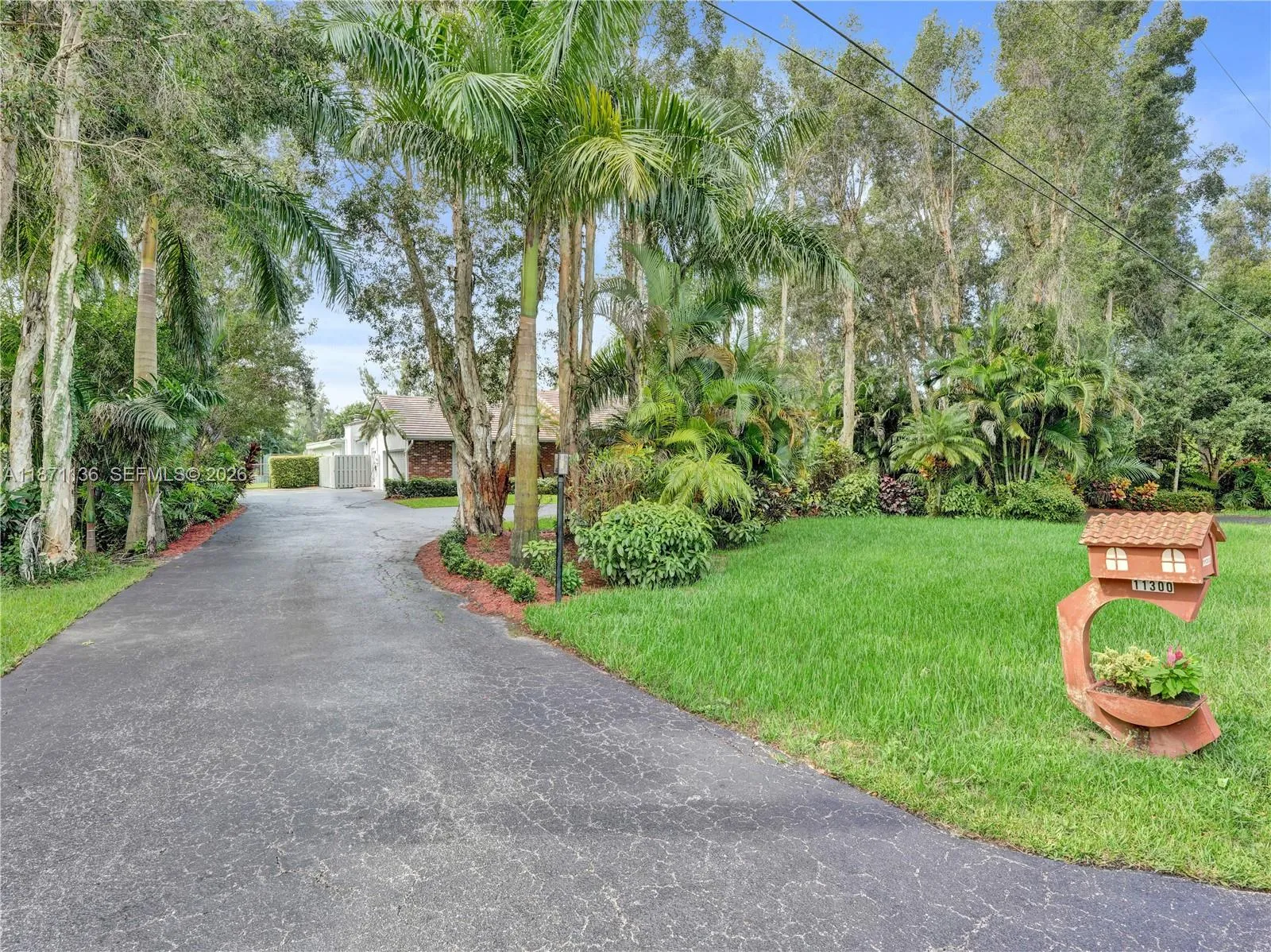 Left side of driveway