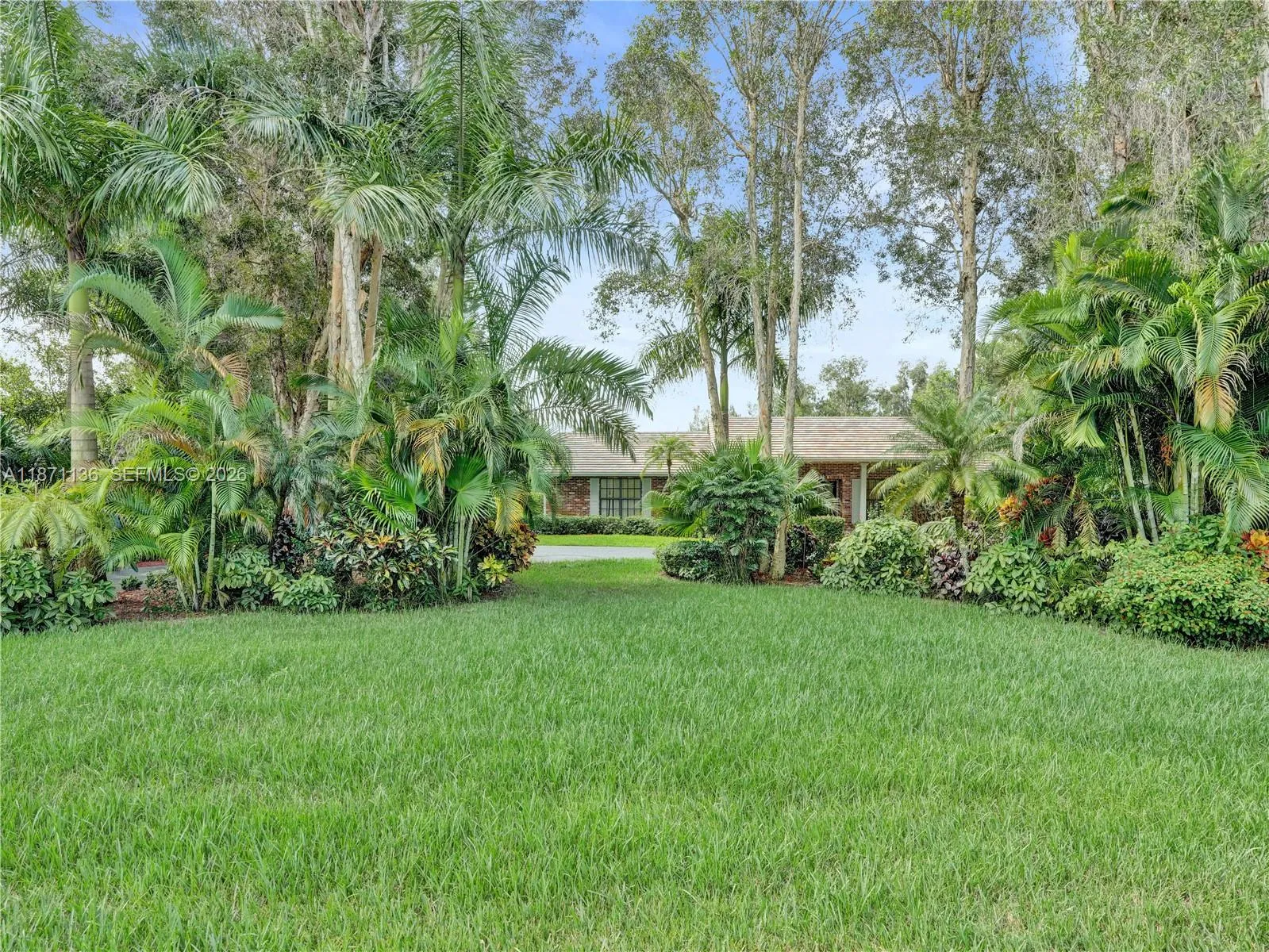 View from Shady Lane