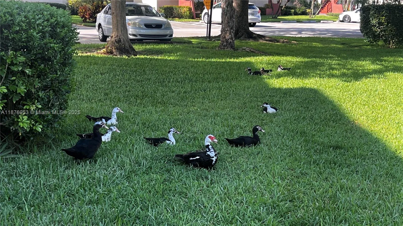 671 S Hollybrook Dr 302, Pembroke Pines, Florida 3, Pembroke Pines, Florida 33025, 2 Bedrooms Bedrooms, ,2 BathroomsBathrooms,Residential,For Sale,671 S Hollybrook Dr 302, Pembroke Pines, Florida 3,A11876953