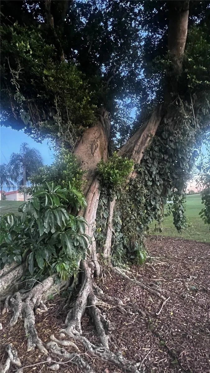 671 S Hollybrook Dr 302, Pembroke Pines, Florida 3, Pembroke Pines, Florida 33025, 2 Bedrooms Bedrooms, ,2 BathroomsBathrooms,Residential,For Sale,671 S Hollybrook Dr 302, Pembroke Pines, Florida 3,A11876953