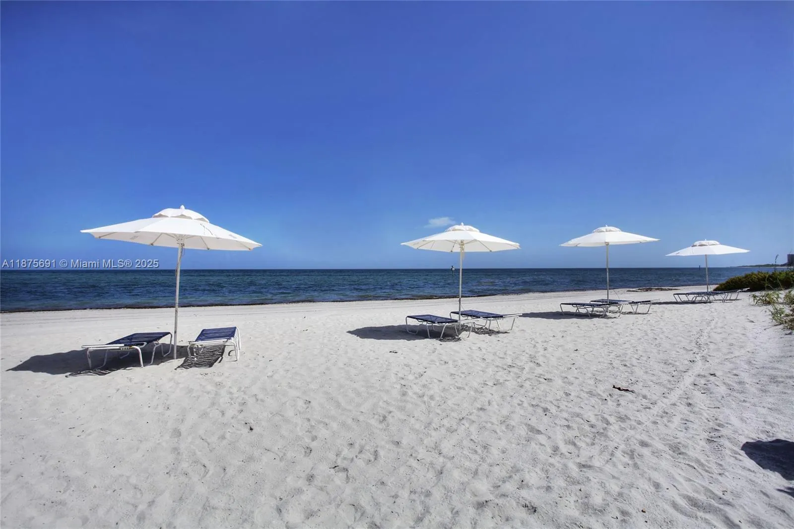 200 Ocean Lane Dr 703, Key Biscayne, Florida 33149, Key Biscayne, Florida 33149, 1 Bedroom Bedrooms, ,1 BathroomBathrooms,Residential,For Sale,200 Ocean Lane Dr 703, Key Biscayne, Florida 33149,A11875691