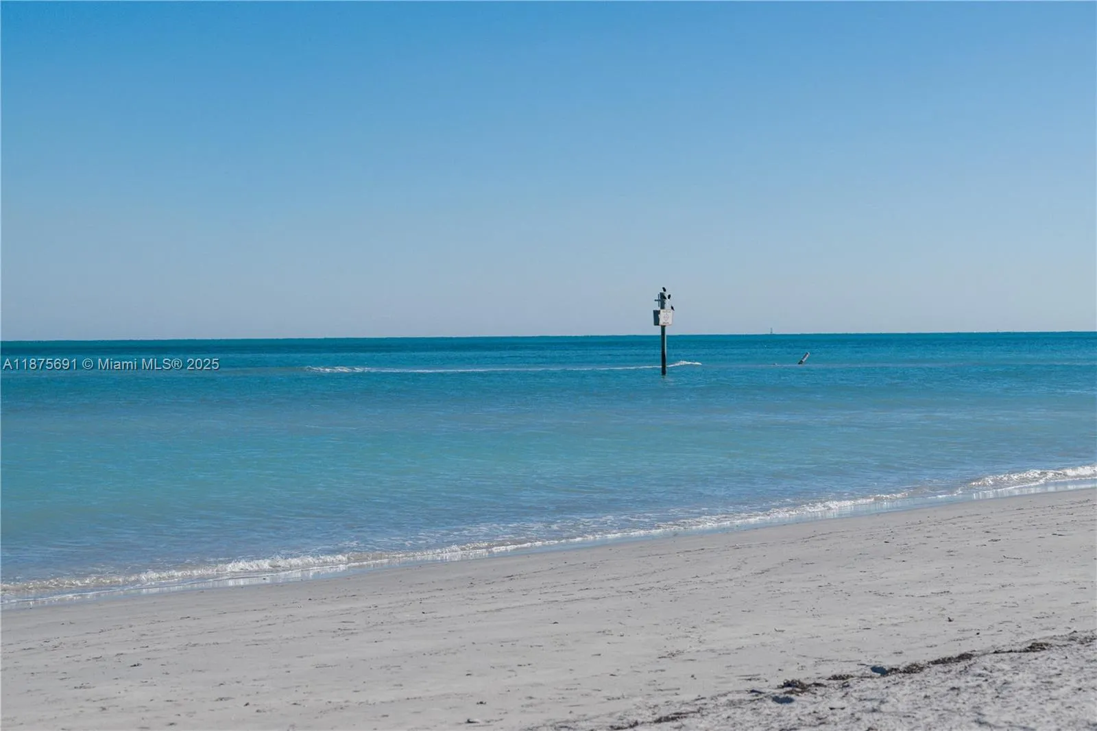 200 Ocean Lane Dr 703, Key Biscayne, Florida 33149, Key Biscayne, Florida 33149, 1 Bedroom Bedrooms, ,1 BathroomBathrooms,Residential,For Sale,200 Ocean Lane Dr 703, Key Biscayne, Florida 33149,A11875691