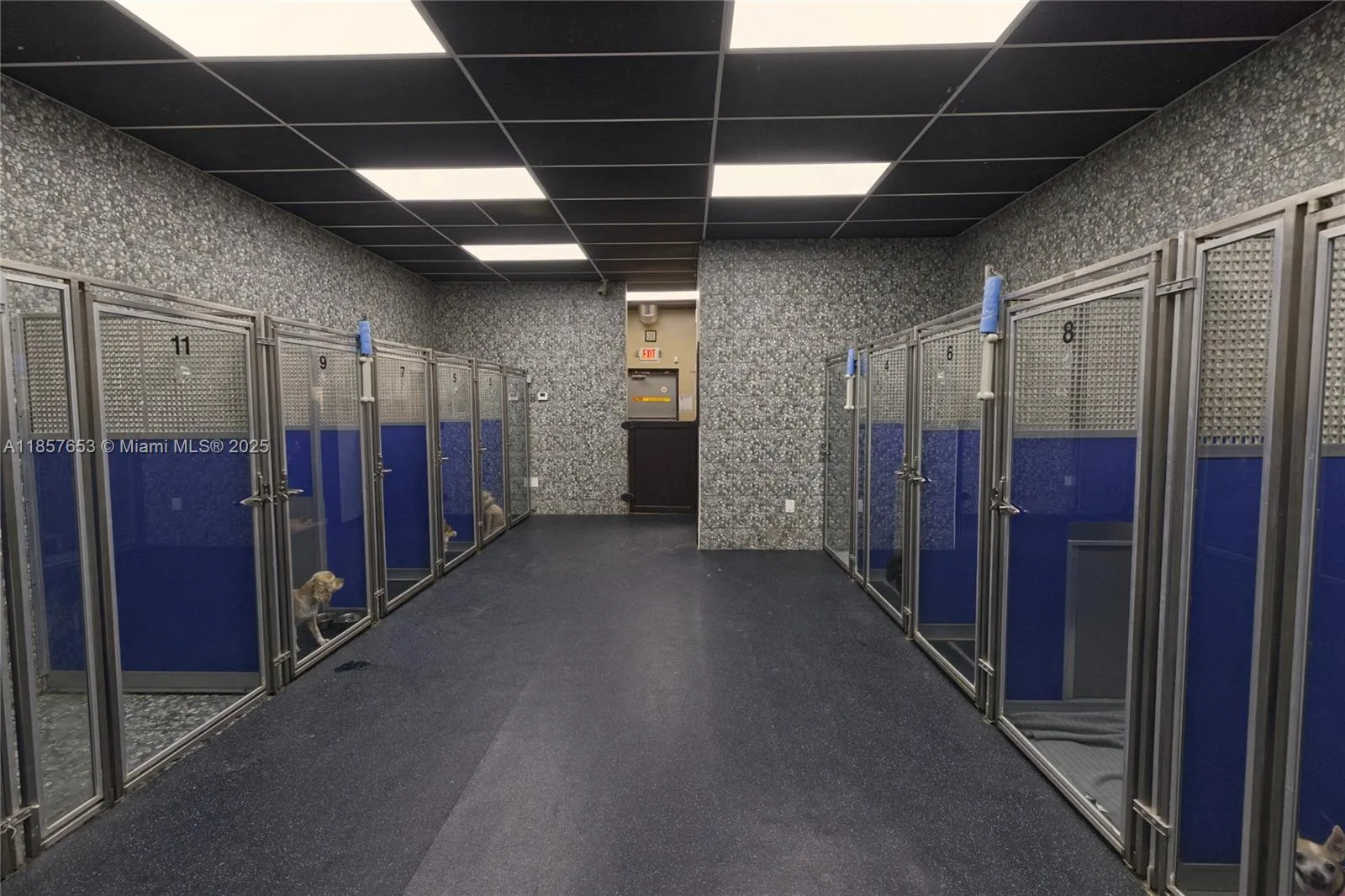 Kendall, Florida 33186, ,Business Opportunity,For Sale,A11857653