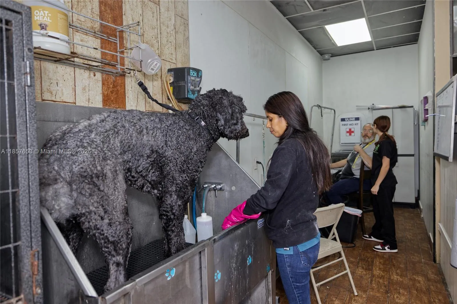 Kendall, Florida 33186, ,Business Opportunity,For Sale,A11857653