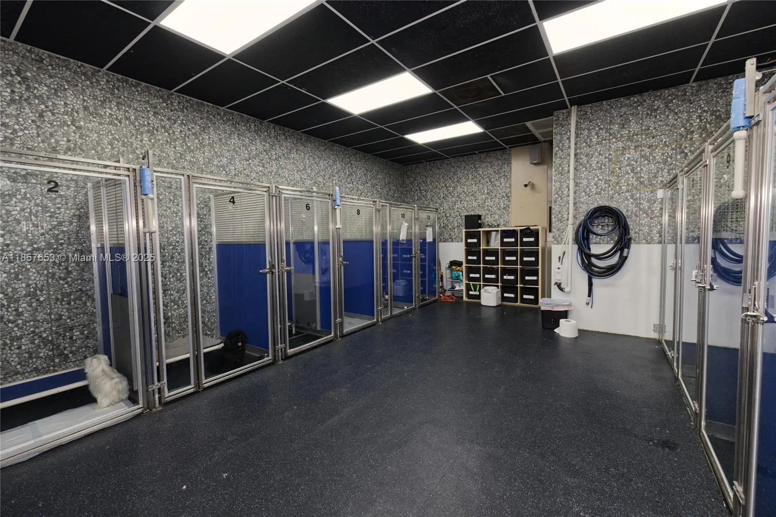 Kendall, Florida 33186, ,Business Opportunity,For Sale,A11857653