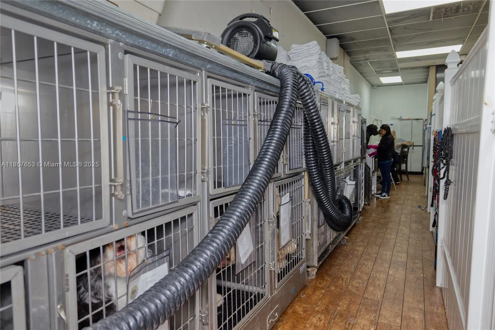 Kendall, Florida 33186, ,Business Opportunity,For Sale,A11857653