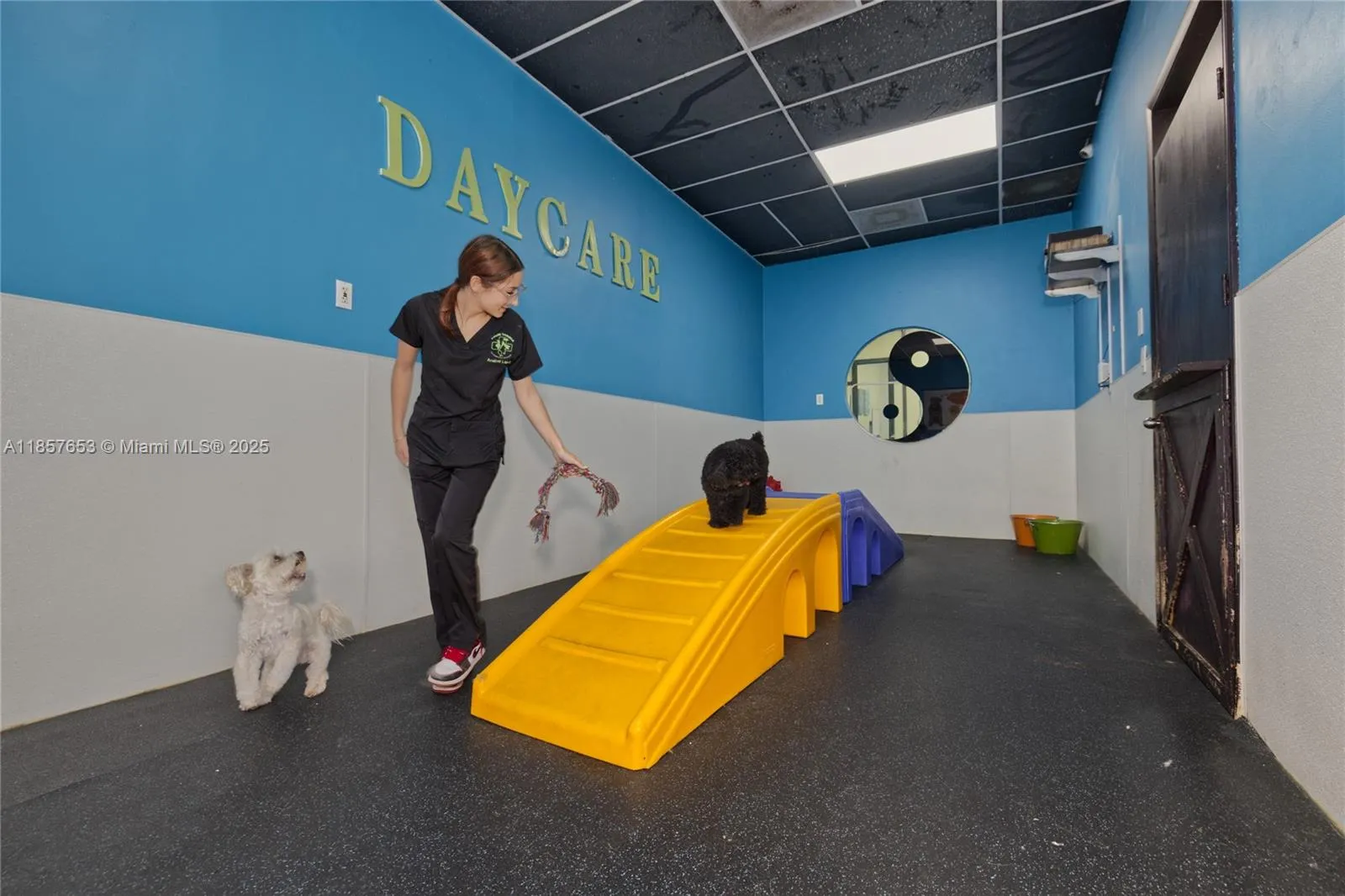 Kendall, Florida 33186, ,Business Opportunity,For Sale,A11857653