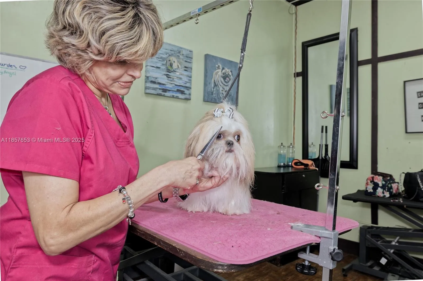 Kendall, Florida 33186, ,Business Opportunity,For Sale,A11857653