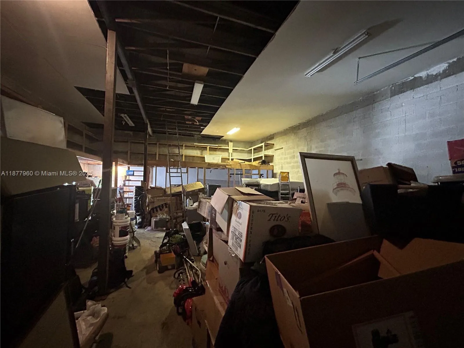 2028 Buchanan St, Hollywood, Florida 33020, Hollywood, Florida 33020, ,Commercial Lease,For Rent,2028 Buchanan St, Hollywood, Florida 33020,A11877960