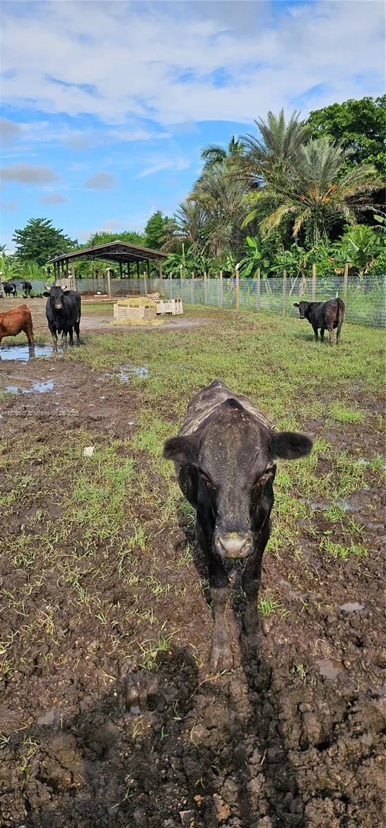 12600 Sw 199 Ave, Miami, Florida 33196, Miami, Florida 33196, ,Land,For Sale,12600 Sw 199 Ave, Miami, Florida 33196,A11879377