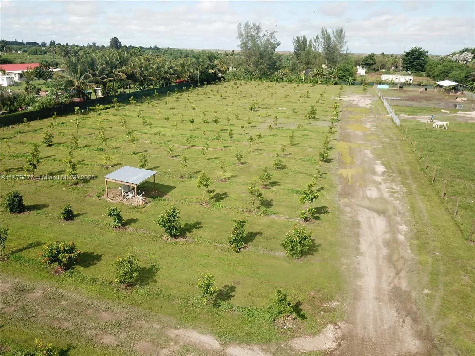 12600 Sw 199 Ave, Miami, Florida 33196, Miami, Florida 33196, ,Land,For Sale,12600 Sw 199 Ave, Miami, Florida 33196,A11879377