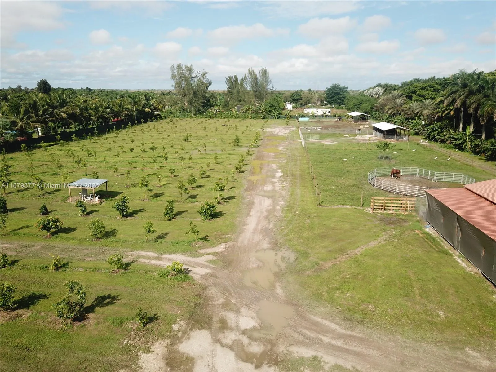 12600 Sw 199 Ave, Miami, Florida 33196, Miami, Florida 33196, ,Land,For Sale,12600 Sw 199 Ave, Miami, Florida 33196,A11879377