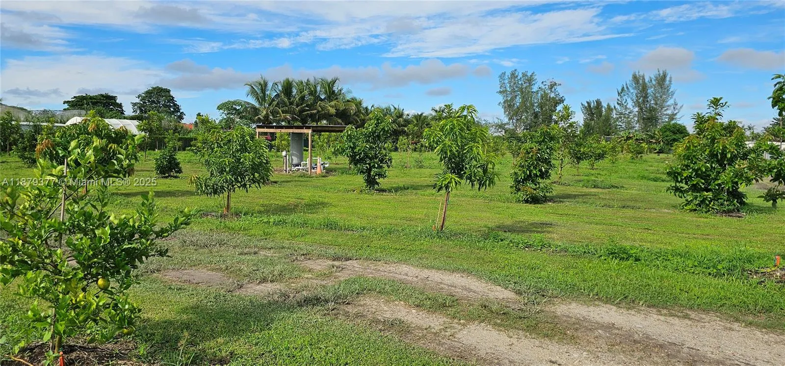 12600 Sw 199 Ave, Miami, Florida 33196, Miami, Florida 33196, ,Land,For Sale,12600 Sw 199 Ave, Miami, Florida 33196,A11879377