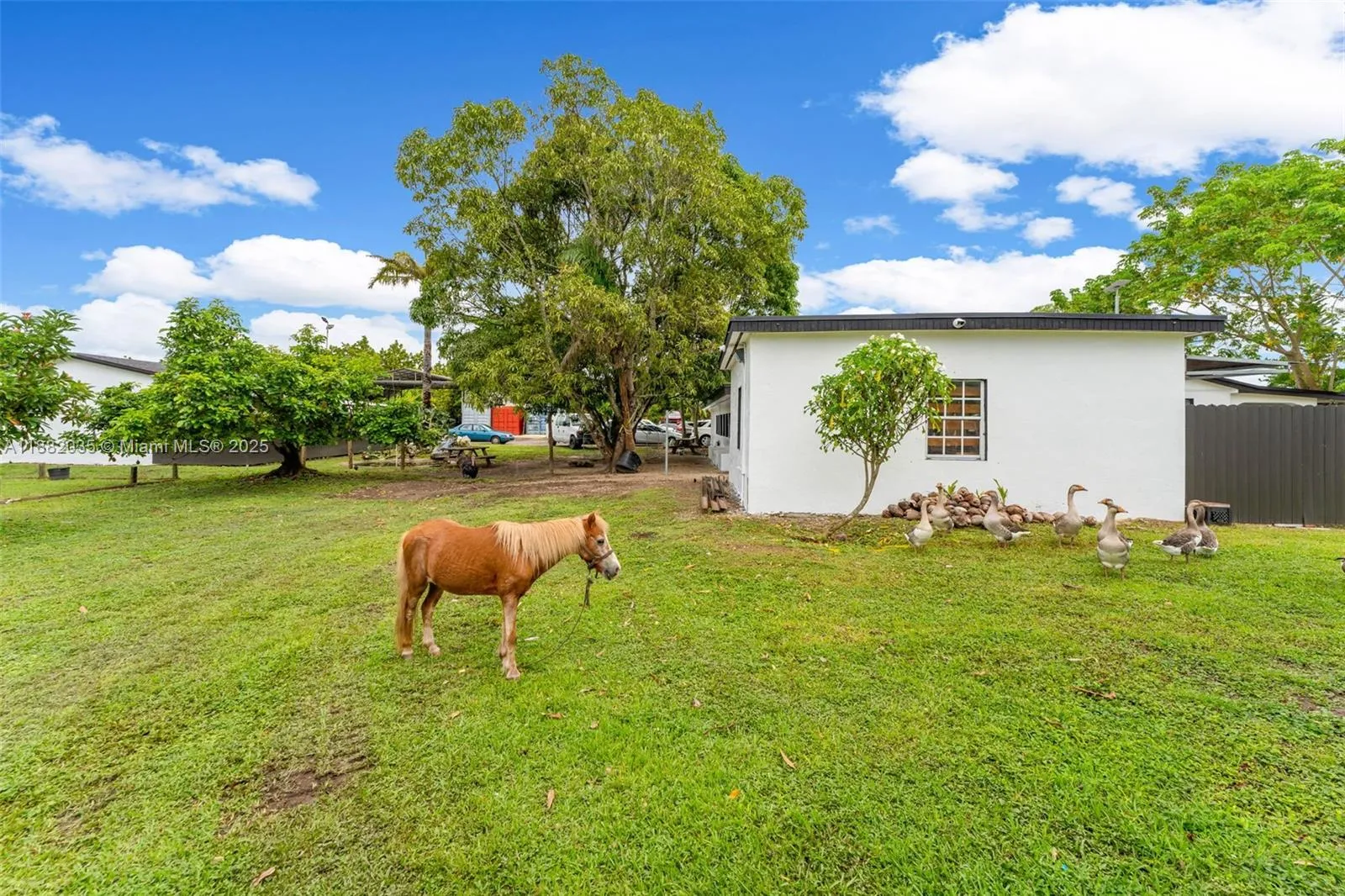 12750 Sw 197th Ave, Miami, Florida 33196, Miami, Florida 33196, 8 Bedrooms Bedrooms, ,5 BathroomsBathrooms,Residential,For Sale,12750 Sw 197th Ave, Miami, Florida 33196,A11882035