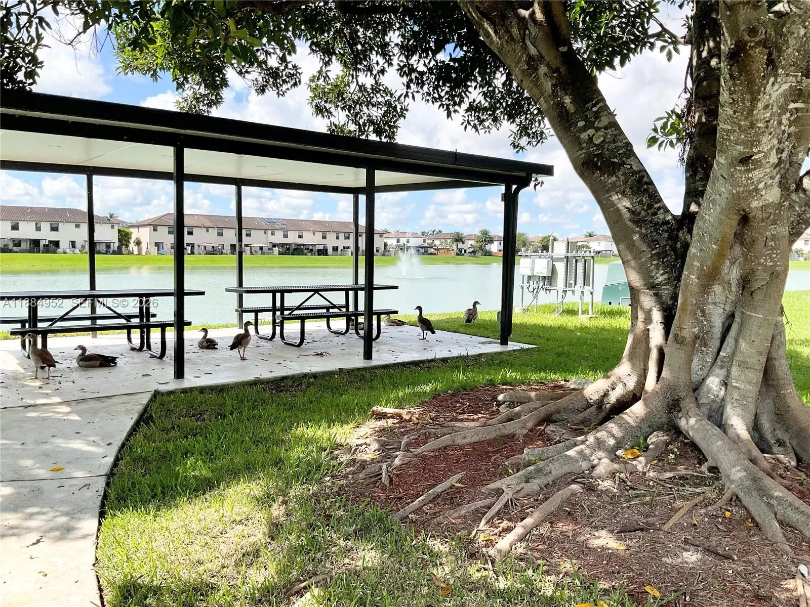 11419 Sw 248th Ln, Homestead, Florida 33032, Homestead, Florida 33032, 3 Bedrooms Bedrooms, ,2 BathroomsBathrooms,Residential,For Sale,11419 Sw 248th Ln, Homestead, Florida 33032,A11884952