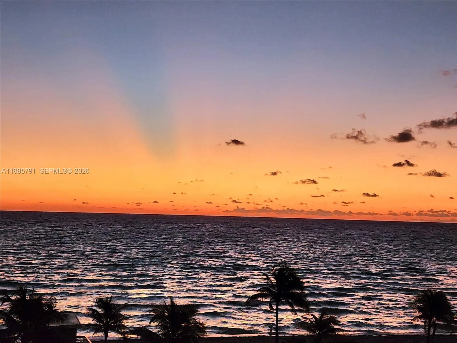 2030 S Ocean Dr 1218, Hallandale Beach, Florida 33, Hallandale Beach, Florida 33009, 2 Bedrooms Bedrooms, ,2 BathroomsBathrooms,Residential,For Sale,2030 S Ocean Dr 1218, Hallandale Beach, Florida 33,A11885791