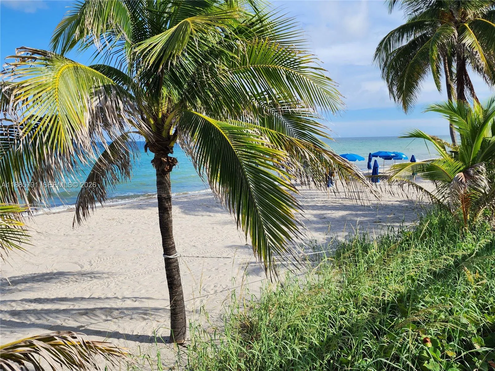 2030 S Ocean Dr 1218, Hallandale Beach, Florida 33, Hallandale Beach, Florida 33009, 2 Bedrooms Bedrooms, ,2 BathroomsBathrooms,Residential,For Sale,2030 S Ocean Dr 1218, Hallandale Beach, Florida 33,A11885791
