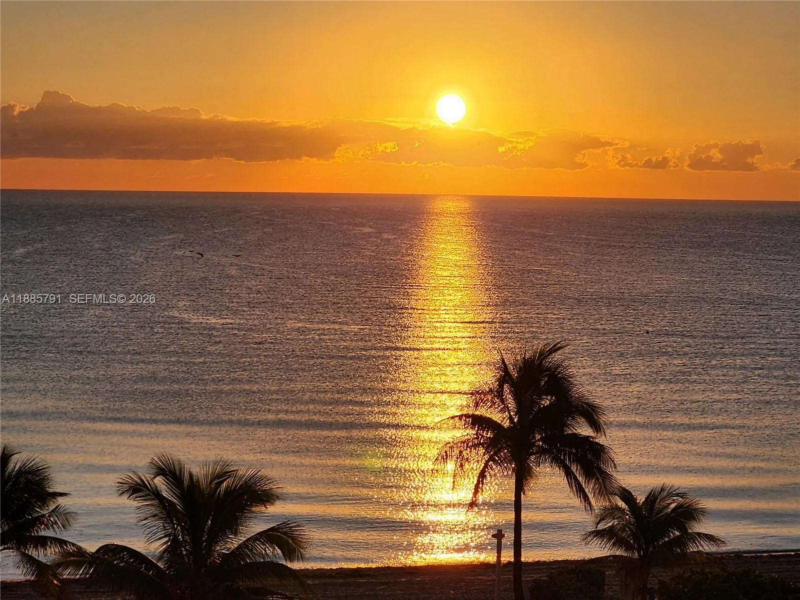 2030 S Ocean Dr 1218, Hallandale Beach, Florida 33, Hallandale Beach, Florida 33009, 2 Bedrooms Bedrooms, ,2 BathroomsBathrooms,Residential,For Sale,2030 S Ocean Dr 1218, Hallandale Beach, Florida 33,A11885791