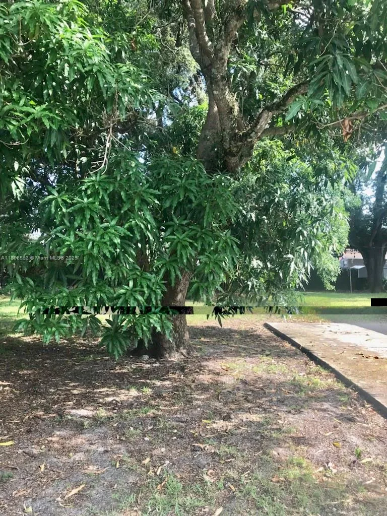 Miami, Florida 33147, ,Residential Income,For Sale,A11888593