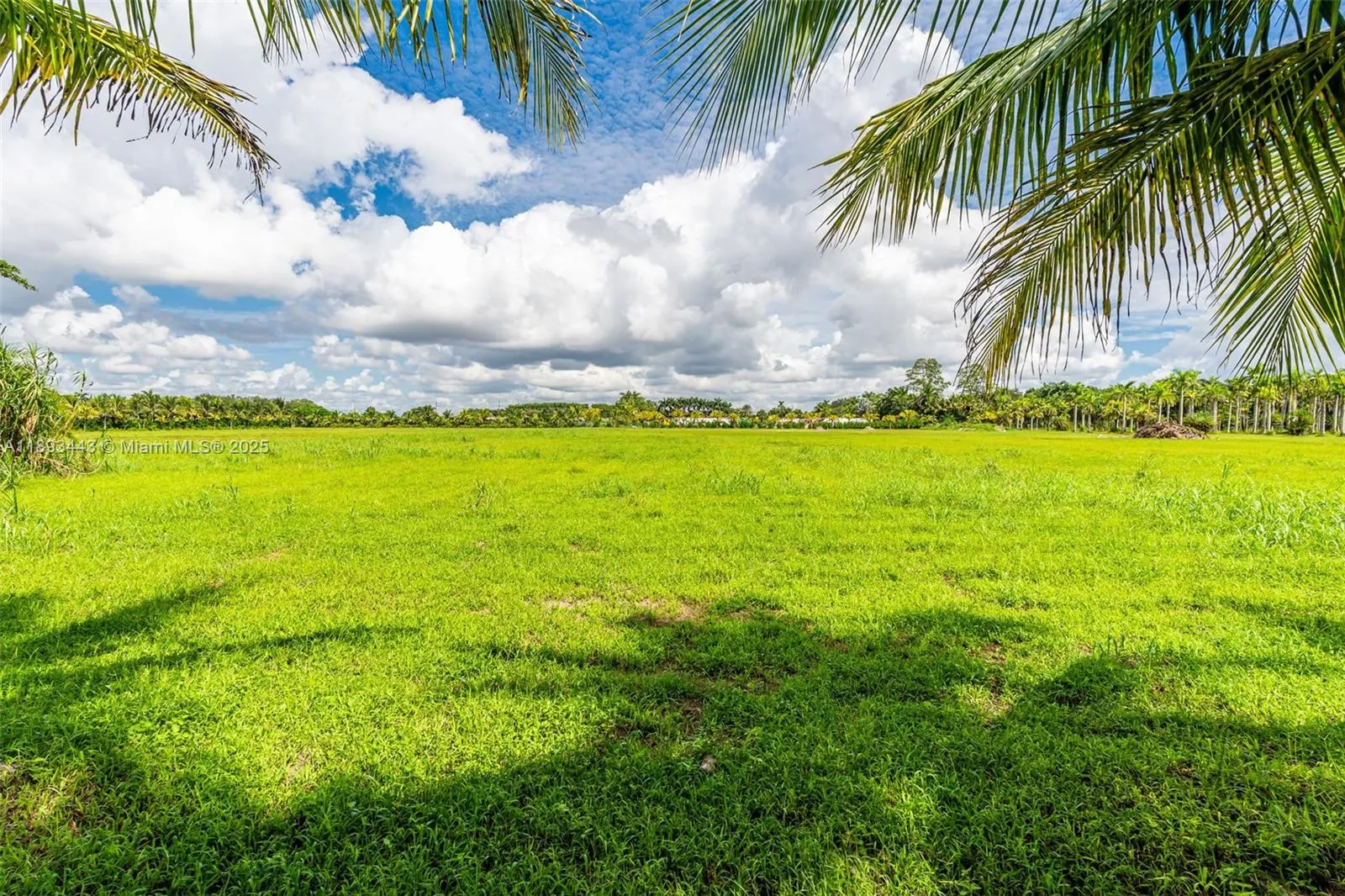 15100 Sw 200th St, Miami, Florida 33187, Miami, Florida 33187, ,Land,For Sale,15100 Sw 200th St, Miami, Florida 33187,A11893443