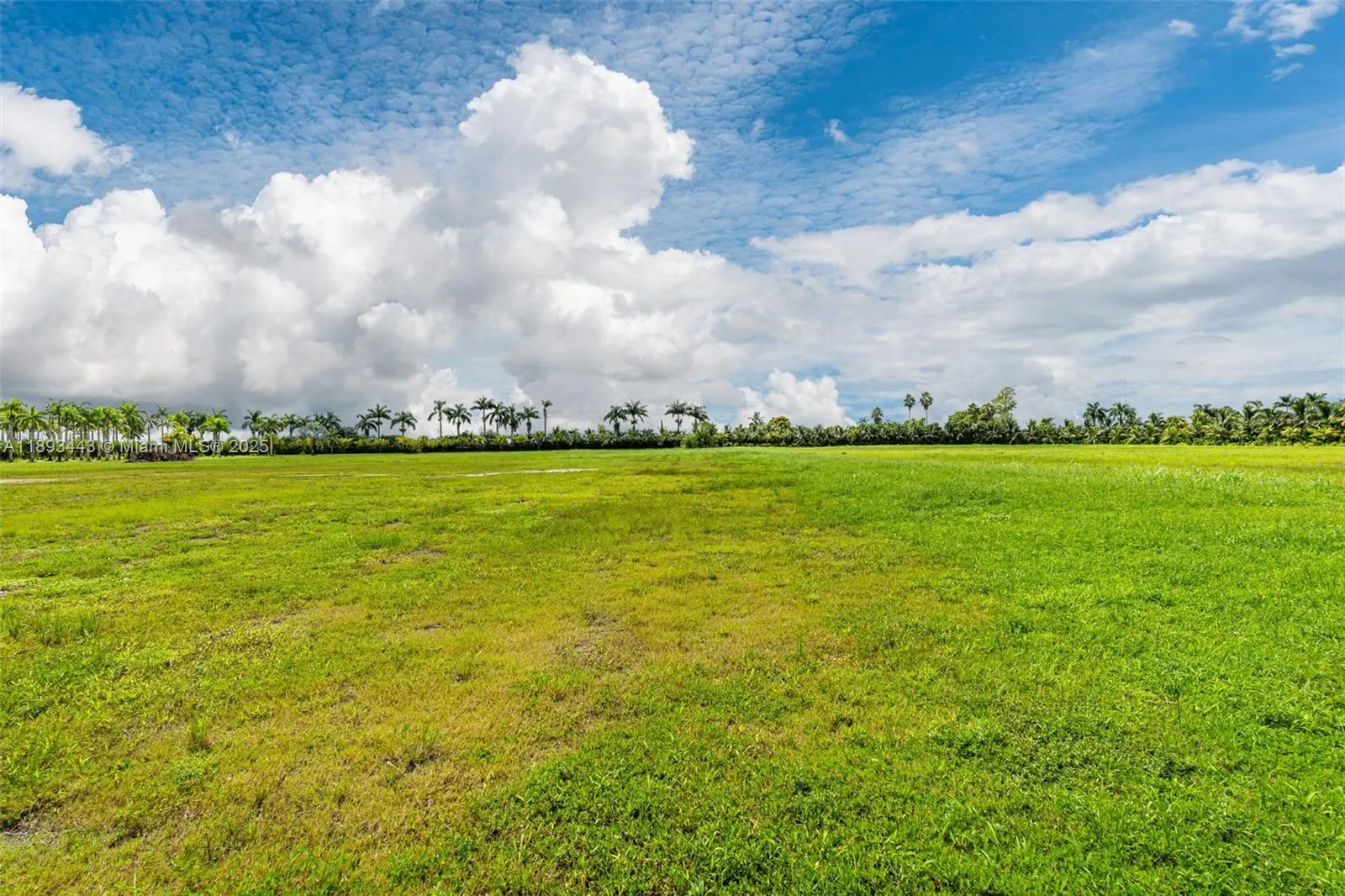 15100 Sw 200th St, Miami, Florida 33187, Miami, Florida 33187, ,Land,For Sale,15100 Sw 200th St, Miami, Florida 33187,A11893443