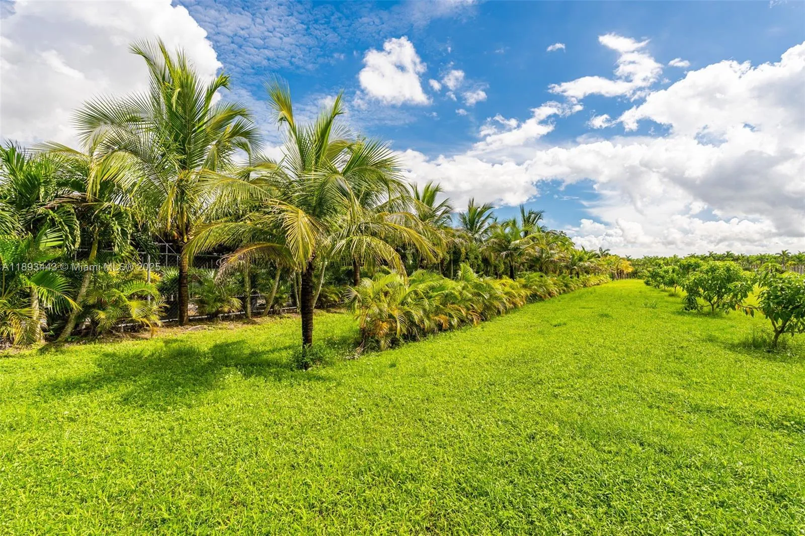 15100 Sw 200th St, Miami, Florida 33187, Miami, Florida 33187, ,Land,For Sale,15100 Sw 200th St, Miami, Florida 33187,A11893443