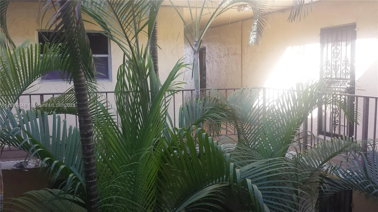 11905 Ne 2nd Ave C308, North Miami, Florida 33161, North Miami, Florida 33161, 2 Bedrooms Bedrooms, 1 Room Rooms,1 BathroomBathrooms,Residential,For Sale,11905 Ne 2nd Ave C308, North Miami, Florida 33161,A11897648