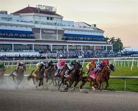 Pool & Recreation Area