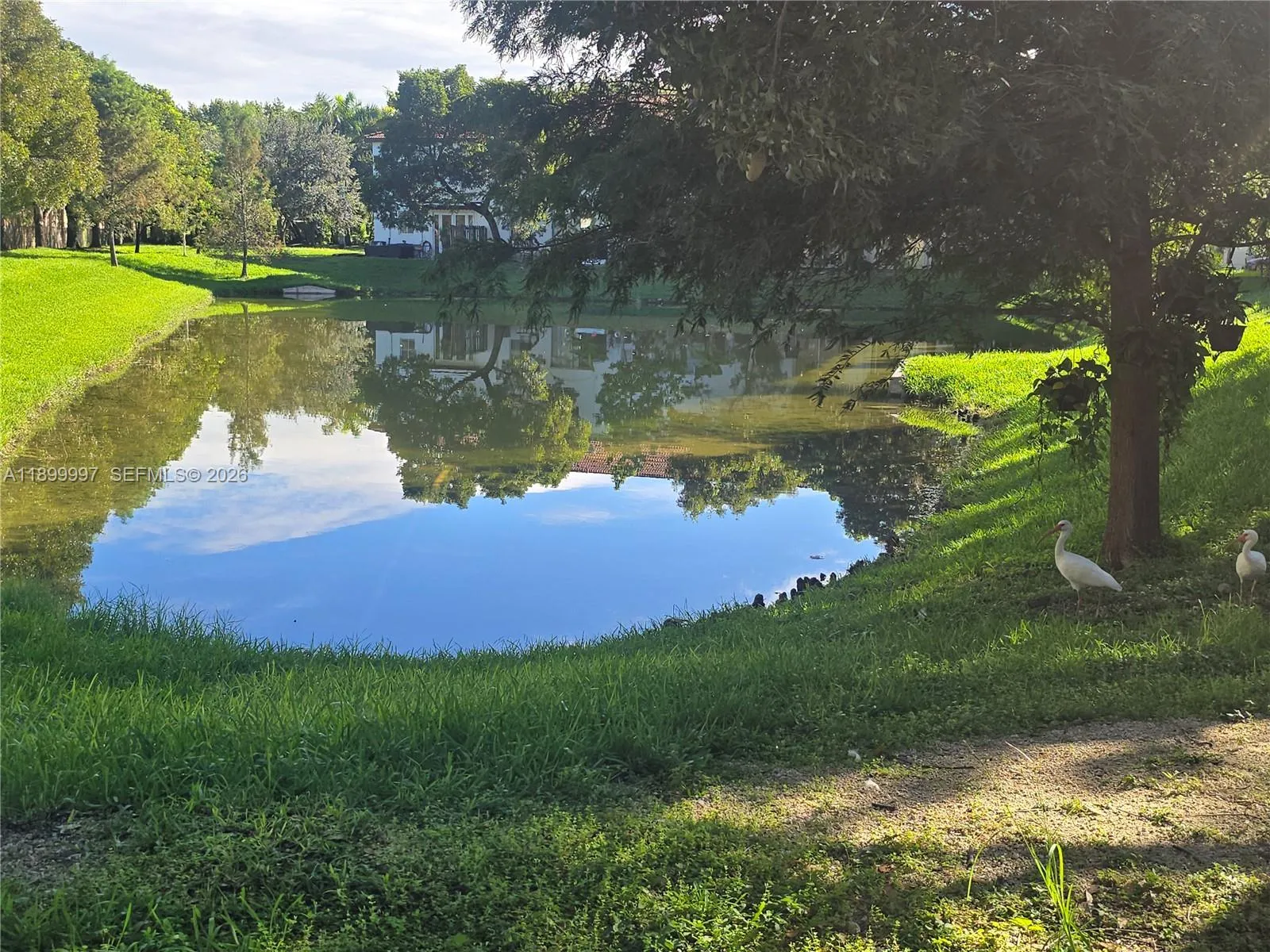 3166 Ne 11th St, Homestead, Florida 33033, Homestead, Florida 33033, 4 Bedrooms Bedrooms, ,3 BathroomsBathrooms,Residential,For Sale,3166 Ne 11th St, Homestead, Florida 33033,A11899997